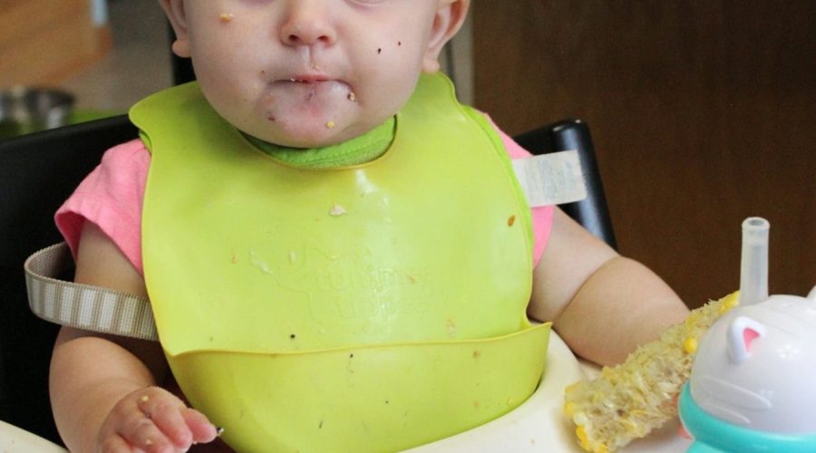 Wanting healthy baby food doesn’t make you a nut