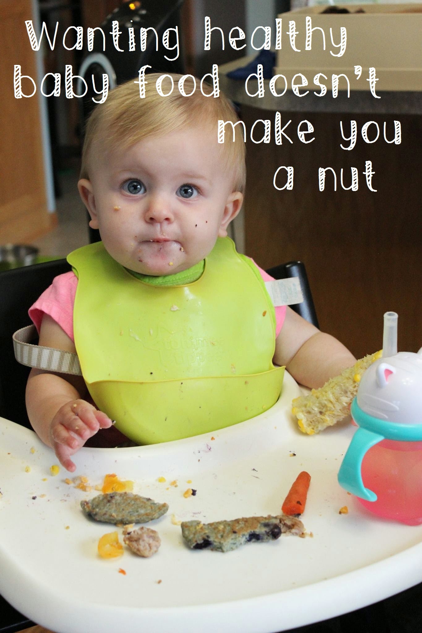 Wanting healthy baby food doesn't make you a nut