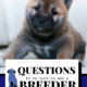 Questions to be sure to ask a Breeder
